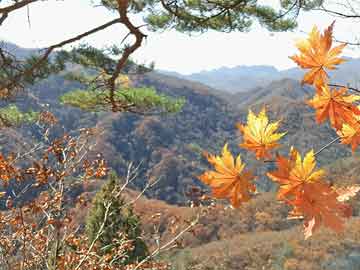 海口50岁吃打胎药能行吗（50岁打胎危险吗）